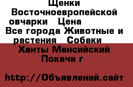 Щенки Восточноевропейской овчарки › Цена ­ 25 000 - Все города Животные и растения » Собаки   . Ханты-Мансийский,Покачи г.